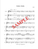 Music Transcription